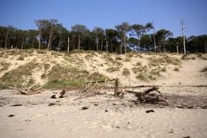 Biscarrosse Biscarrosse