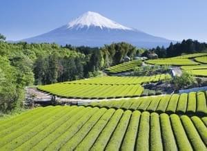 Le mont Fuji Le mont Fuji
