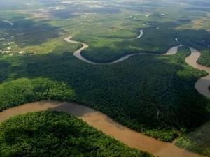 La Forêt Amazonienne