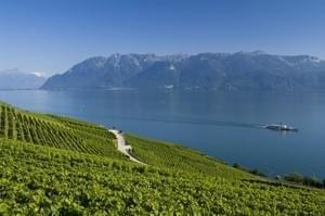 Le Canton de Vaud et les vignes de Lavaux..jusqu'à la riviera suisse