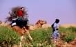 Galerie Photos Afrique