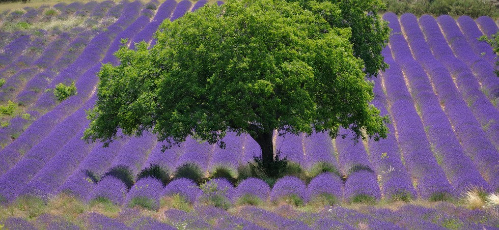 Photo Itinéraires en Provence - Road Trip de 3 jours - 3 suggestions