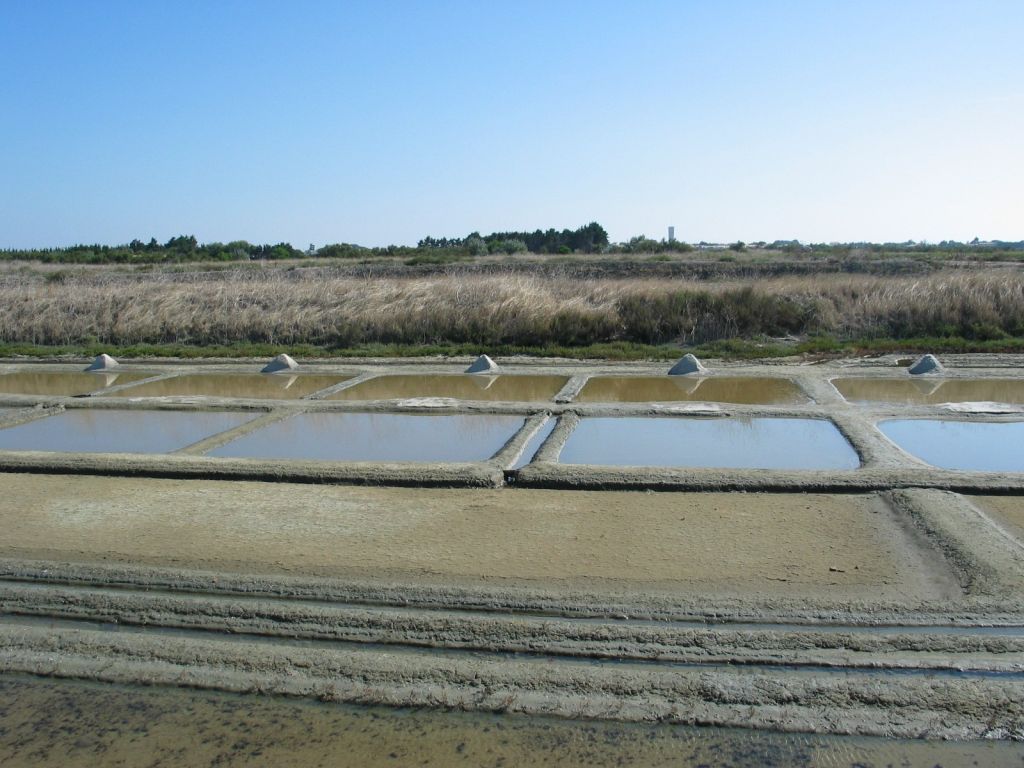 Photo Les 5 meilleurs campings sur ile de Ré