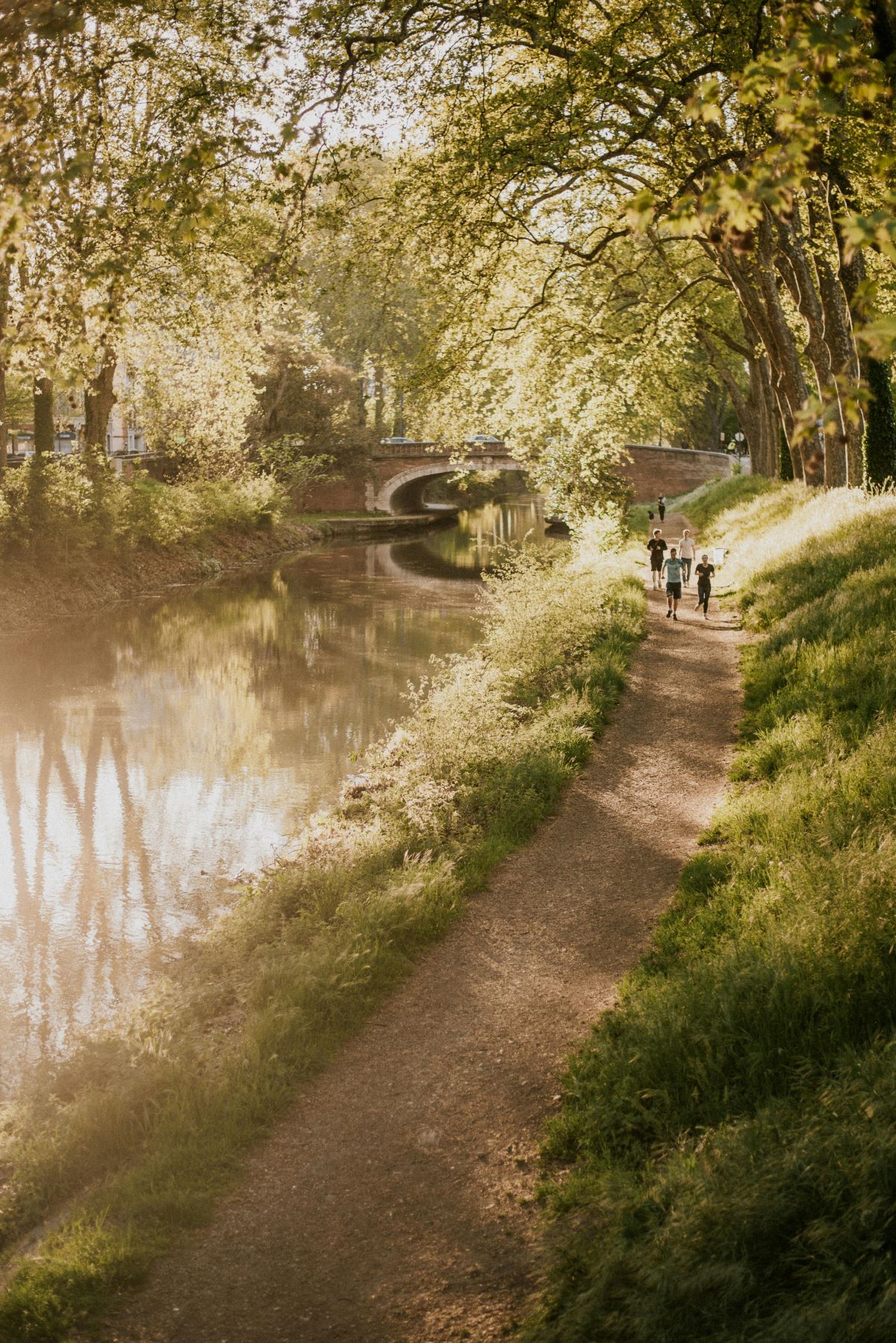 Photo Top 15 parcs et jardins pour une promenade en pleine nature à Toulouse