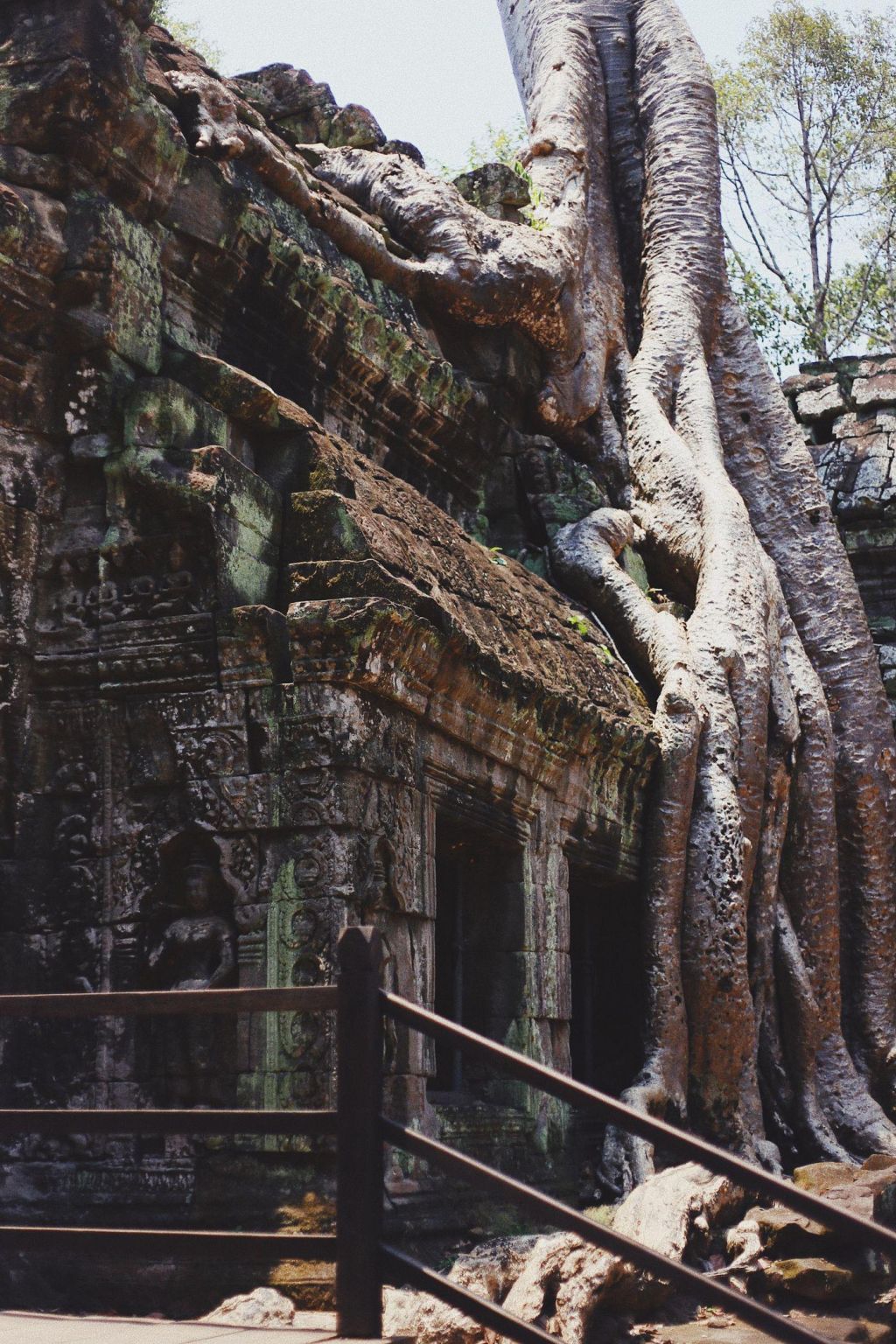 Photo Découverez la cuisine combodgienne dans les restaurants d'Angkor