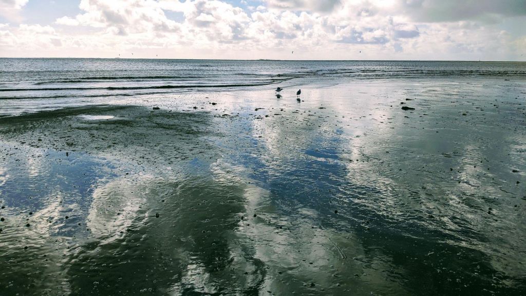 Photo Hotels en front e mer à La Baule