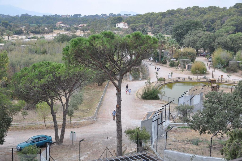 Photo Optimisez votre budget et réservez une voiture de location pas chère pour visiter Fréjus