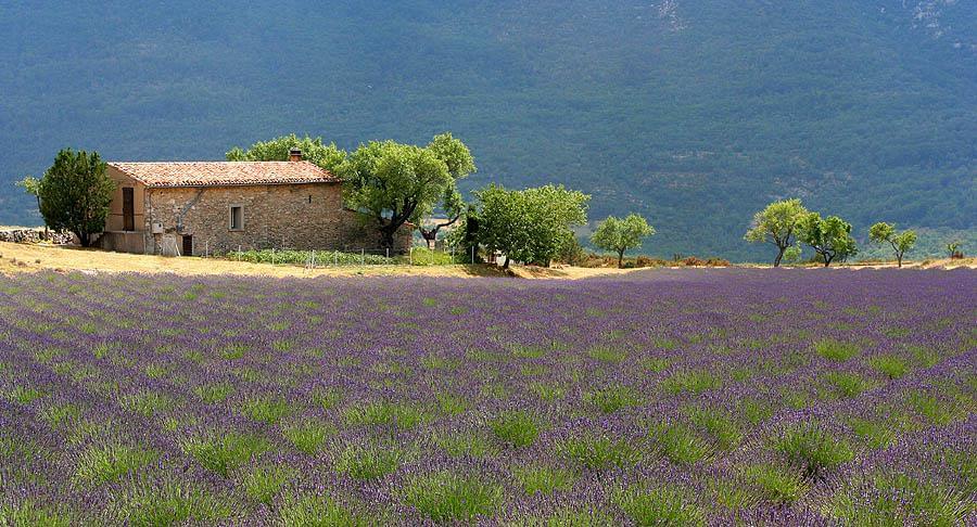 Photo Luberon : louer une voiture de tourisme