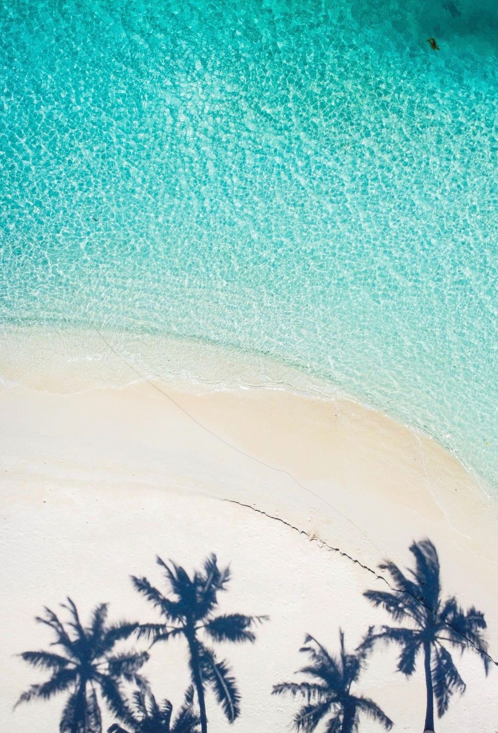 Photo Vols vers les Seychelles. Conseils pour acheter son billet