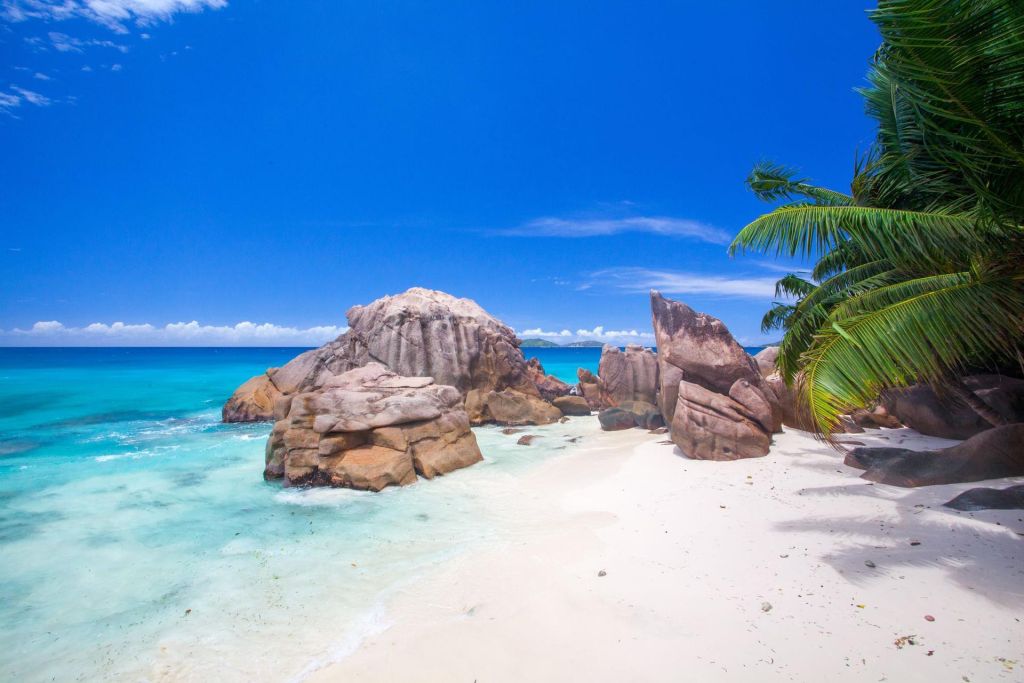 Photo Evasion aux Seychelles