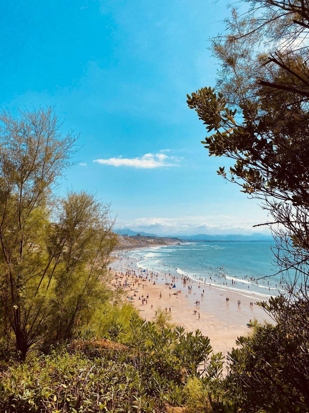 Photo Transports Biarritz: y aller et se déplacer