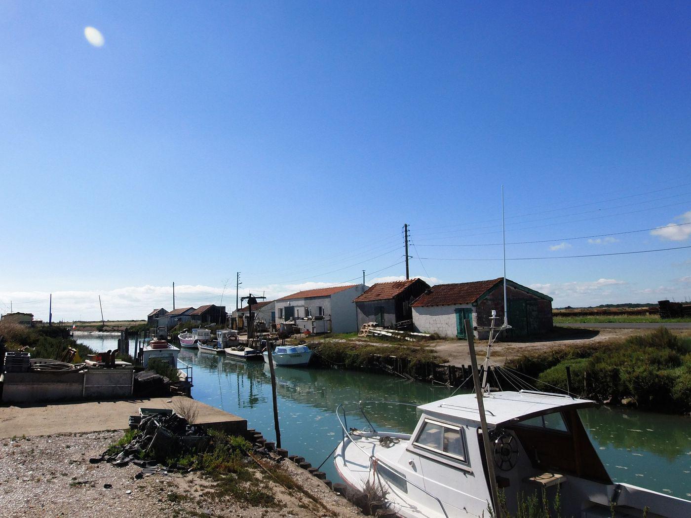 Photo Spécialités gastronomiques et culinaires Ile d'Oleron