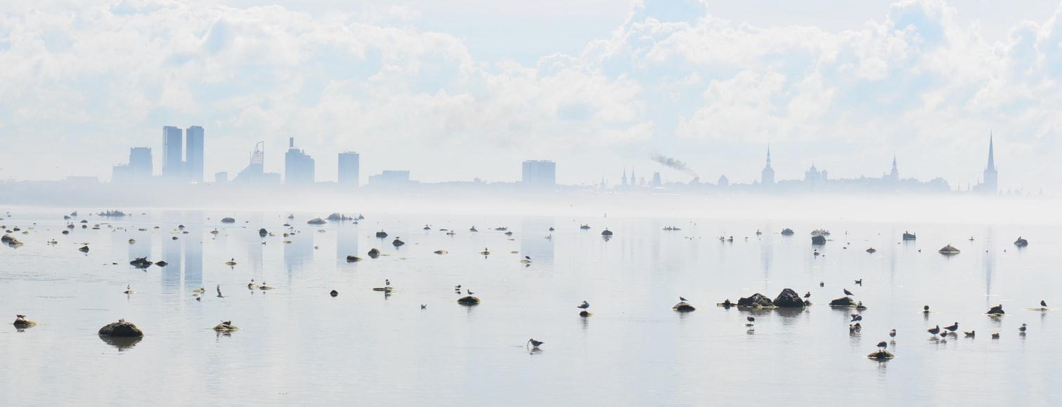 Photo Tallin : comparer les prix des locations de voitures