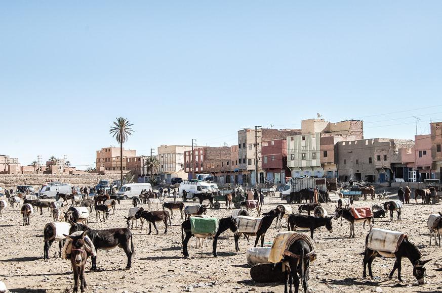 Photo Ouarzazate : comparer les prix des locations de voitures