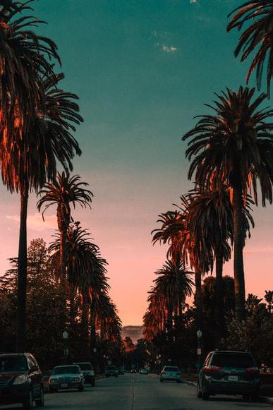 Photo Sortir à Los-angeles
