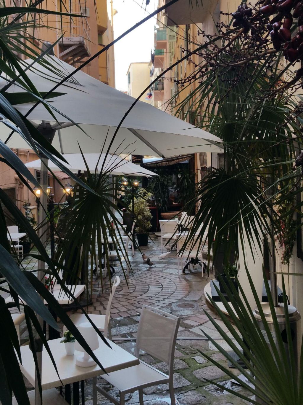 Photo Restos d'Ajaccio : où bien manger dans le coin?