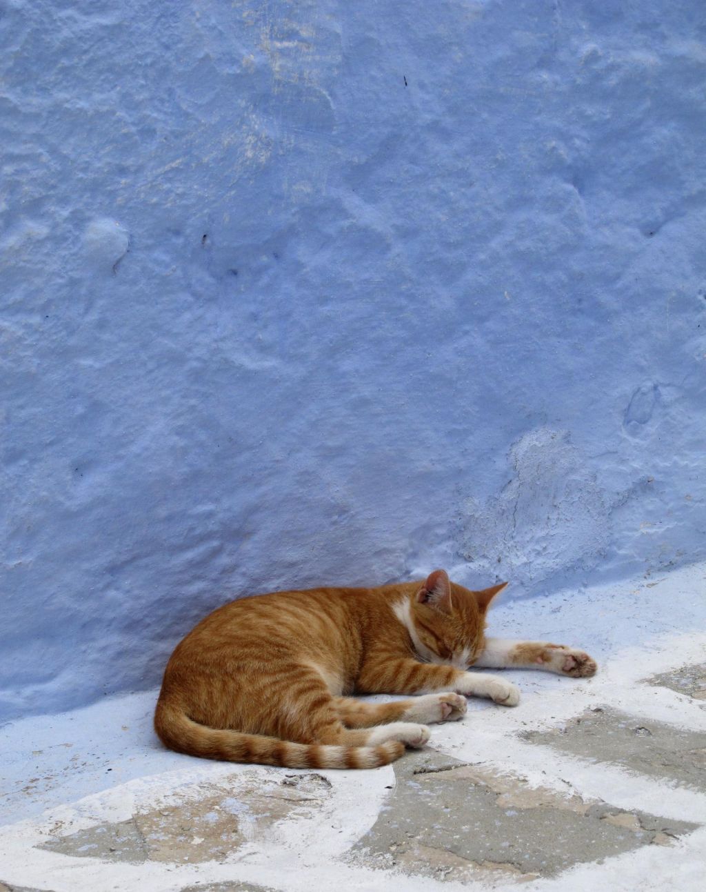 Photo Dénicher un hotel de charme Hammamet