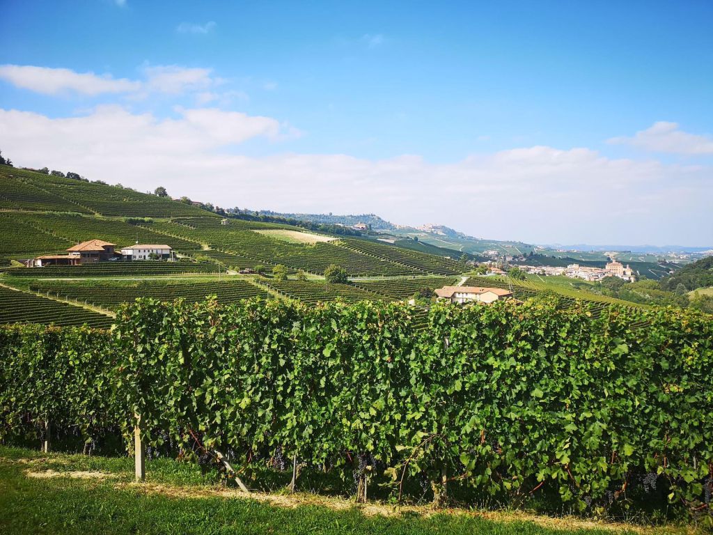 Photo Les délices de la gastronomie du Piemont à l'huile d'olive