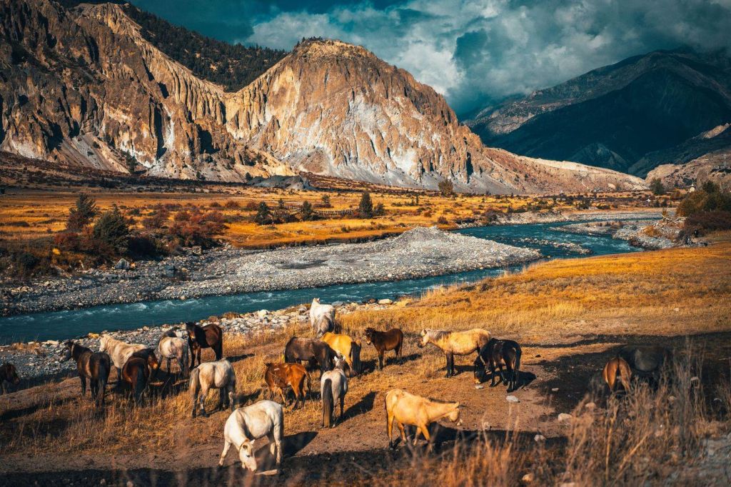 Photo Voyager vers le Nepal