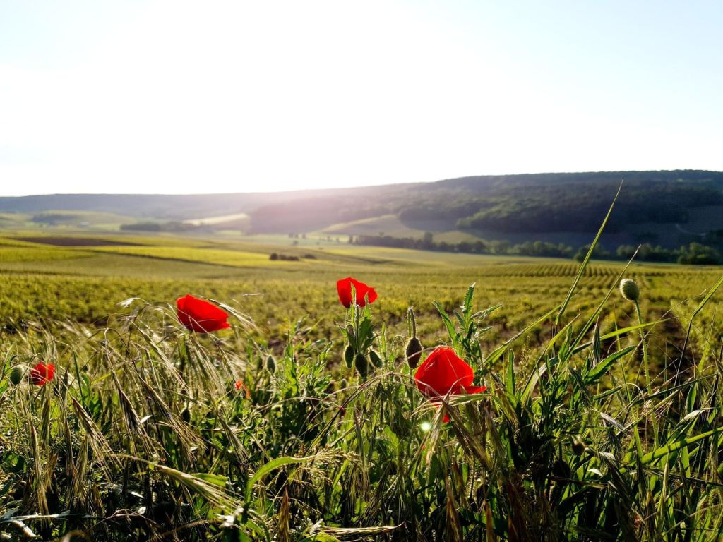 Photo Dormir dans la Marne