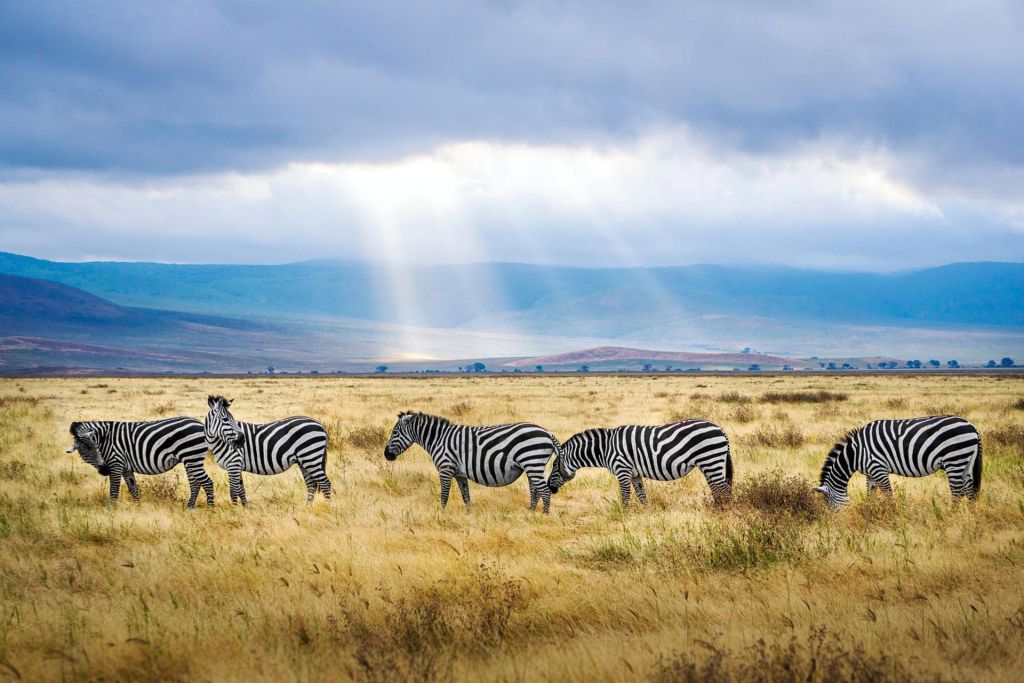 Photo Informations pratiques sur la Tanzanie