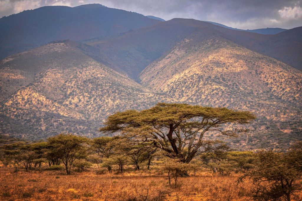 Photo Vol sec pour la Tanzanie....bientôt en Safari