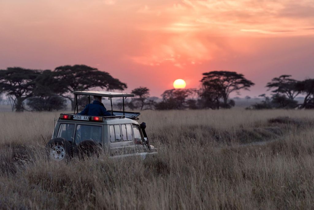Photo Tanzanie, les conseils pour louer une voiture. Dénichez les meilleurs tarifs!