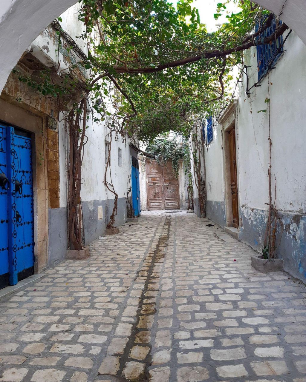 Photo Dénicher un hotel avec spa Tunis: avis internautes et conseils. Bon séjour cocooning!