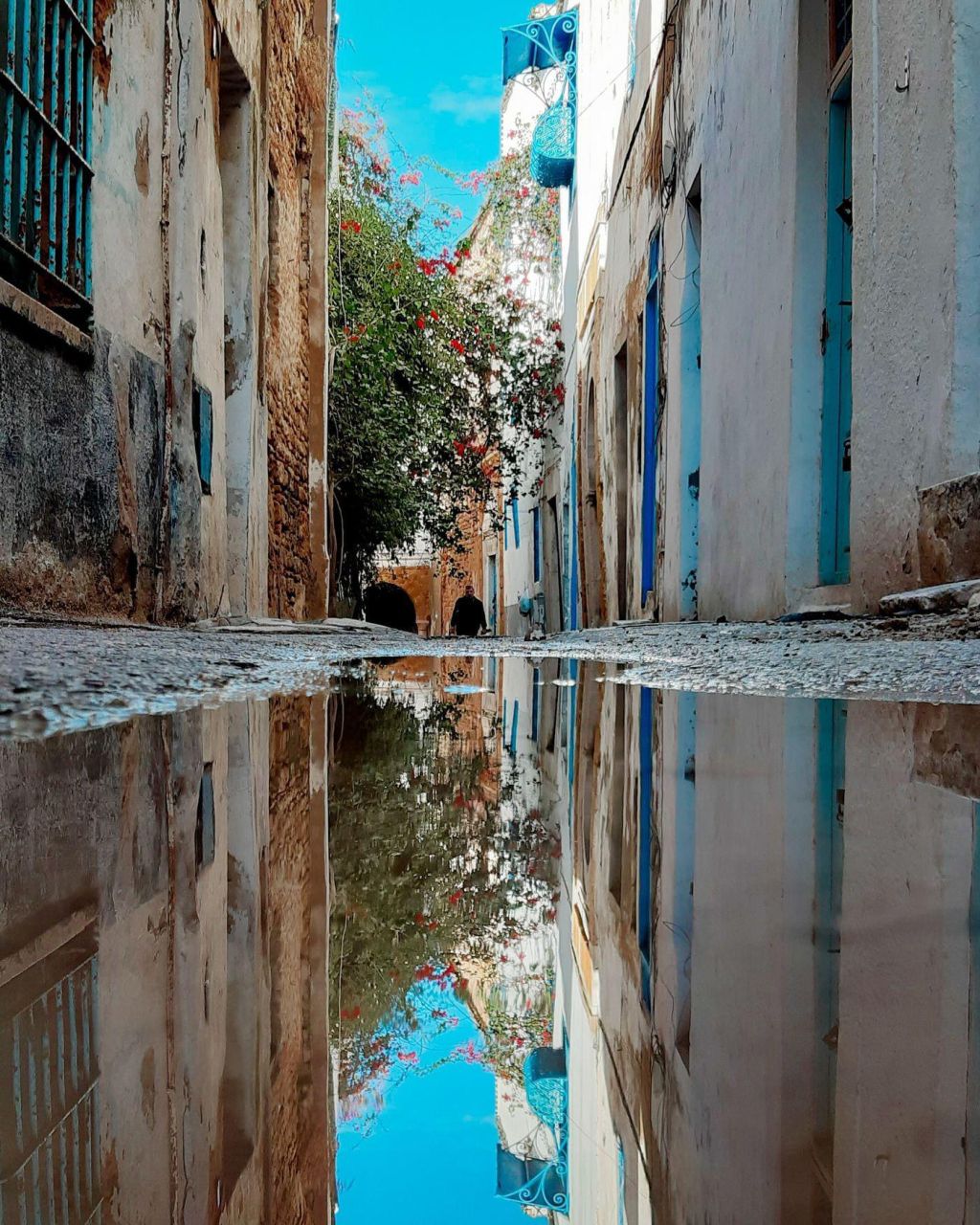 Photo Tout pour préparer son voyage Tunis