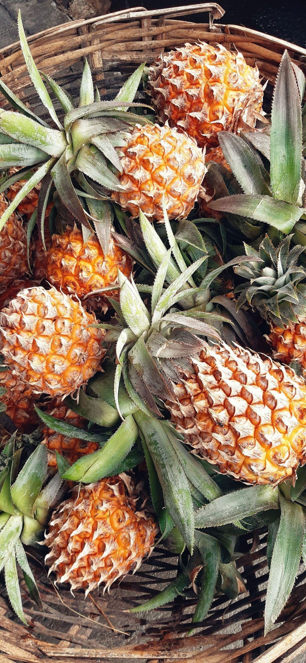 Photo Les spécialités culinaires Maurice