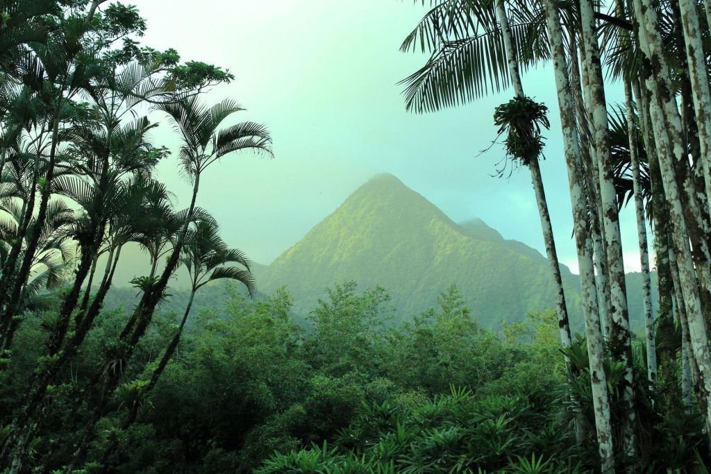 Photo Distance pour la Martinique