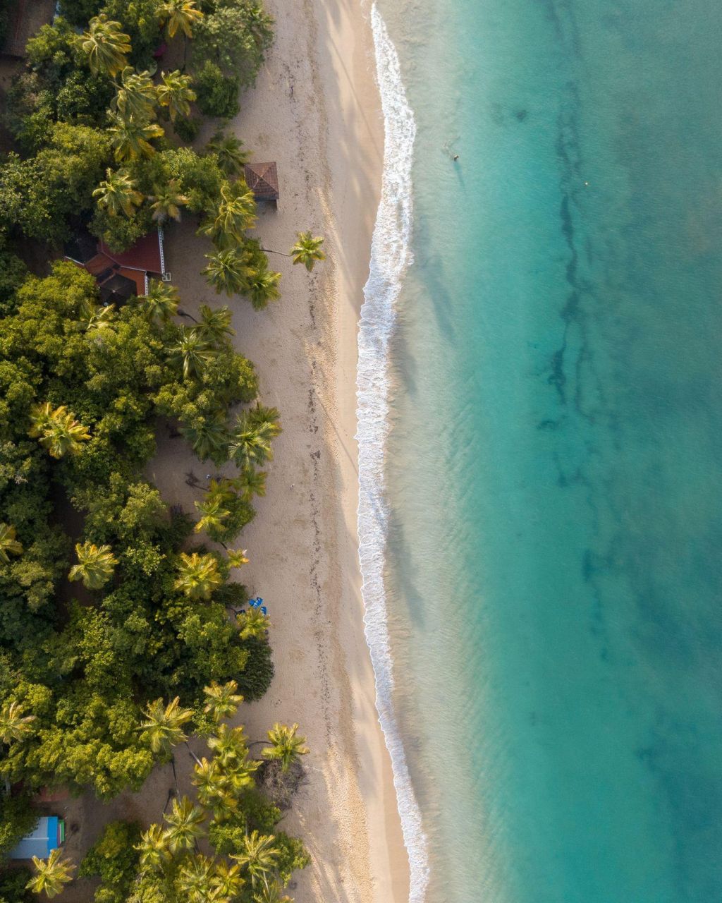 Photo Visa pour la Martinique