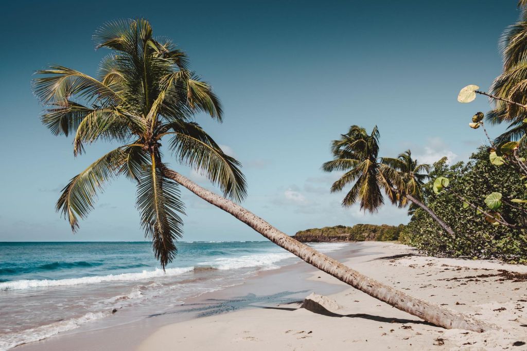 Photo Informations pratiques santé pour la Martinique