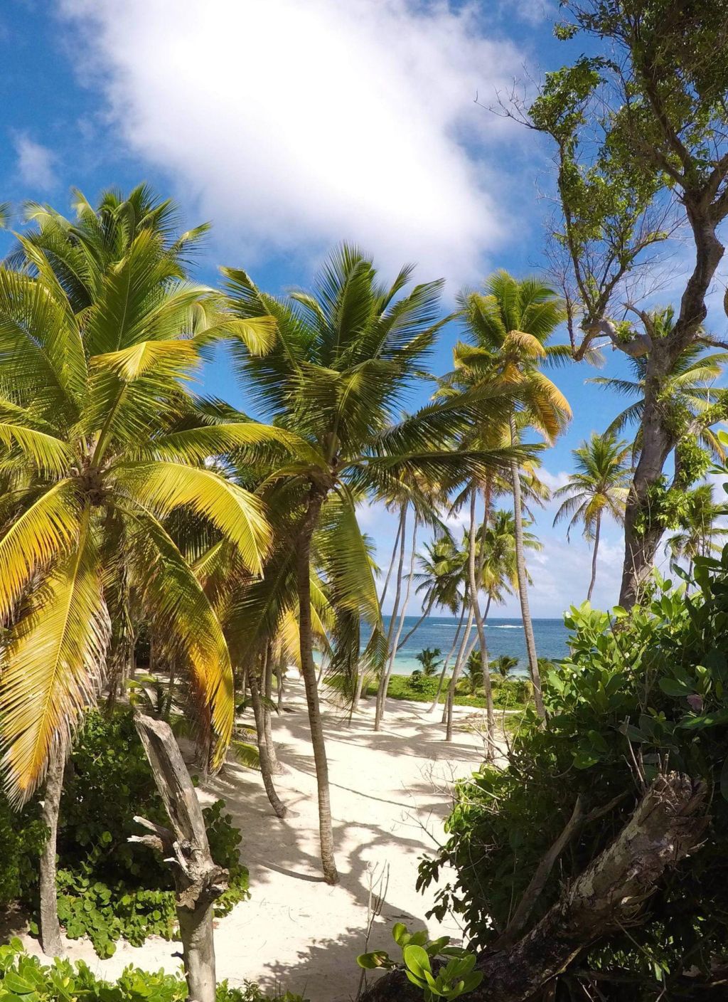 Photo Informations pratiques sur la Martinique