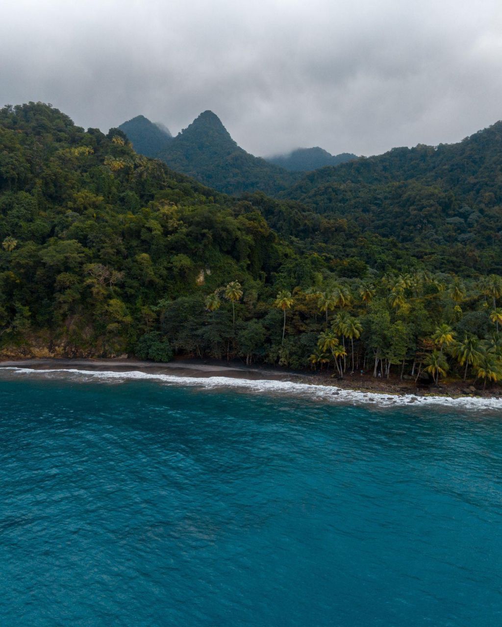 Photo Location de voitures en Martinique
