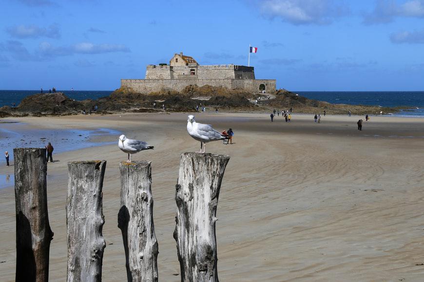 Photo Bons plans Saint-Malo. A vous les bonnes affaires!