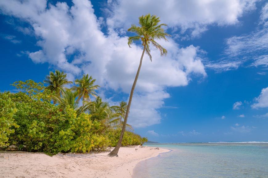 Photo Compagnies aériennes en Guadeloupe