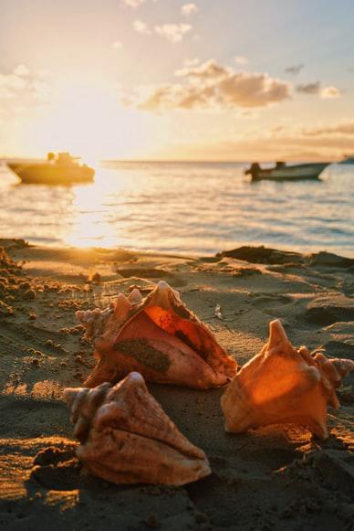 Photo Trouver une agence de location de voitures en Guadeloupe