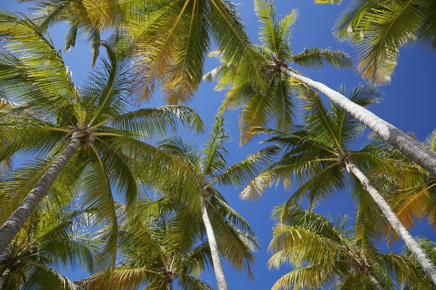 Photo Bons plans voyages Guadeloupe : comparez et économisez!