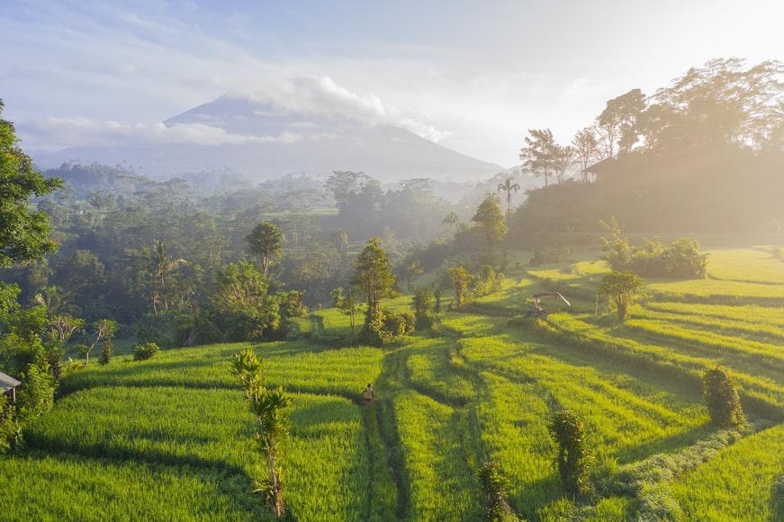 Photo Hébergement luxe ou pas chers, Bali vous envoutera..