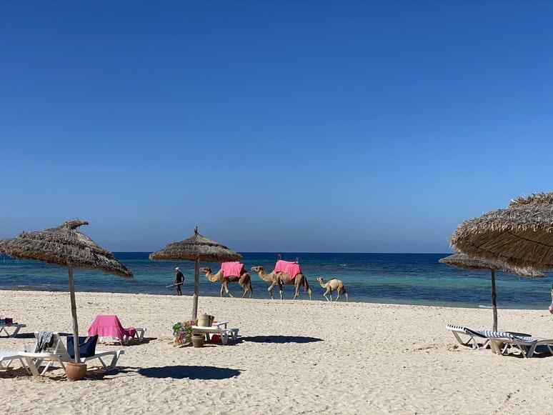 Photo Hébergements à Djerba à réserver en ligne en quelques clics