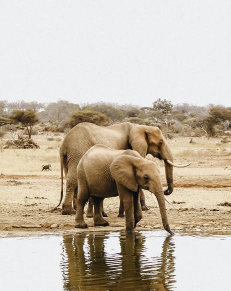 Photo Informations pratiques sur le Kenya