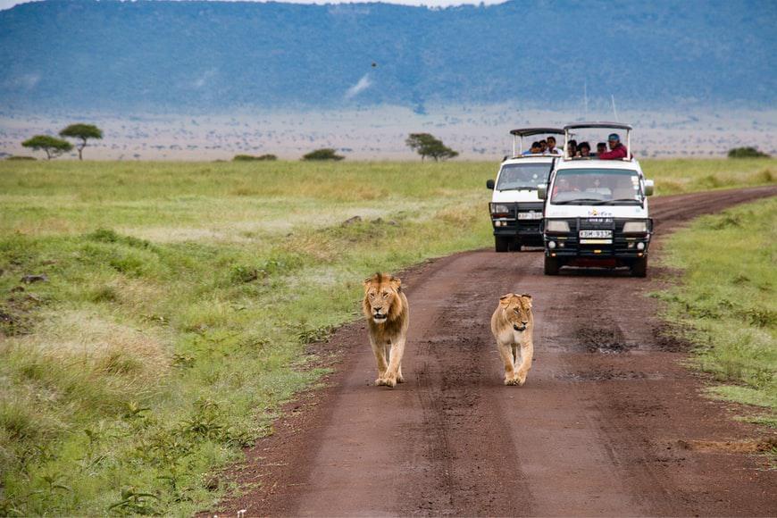 Photo Kenya , tous les conseils pour louer une voiture