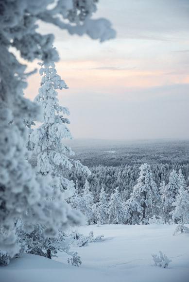 Photo Finlande : Billet d’avion. Dénichez les prix les moins chers