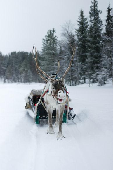 Photo Gites, chambres hotes et locations vacances Finlande: infos et réservation en ligne