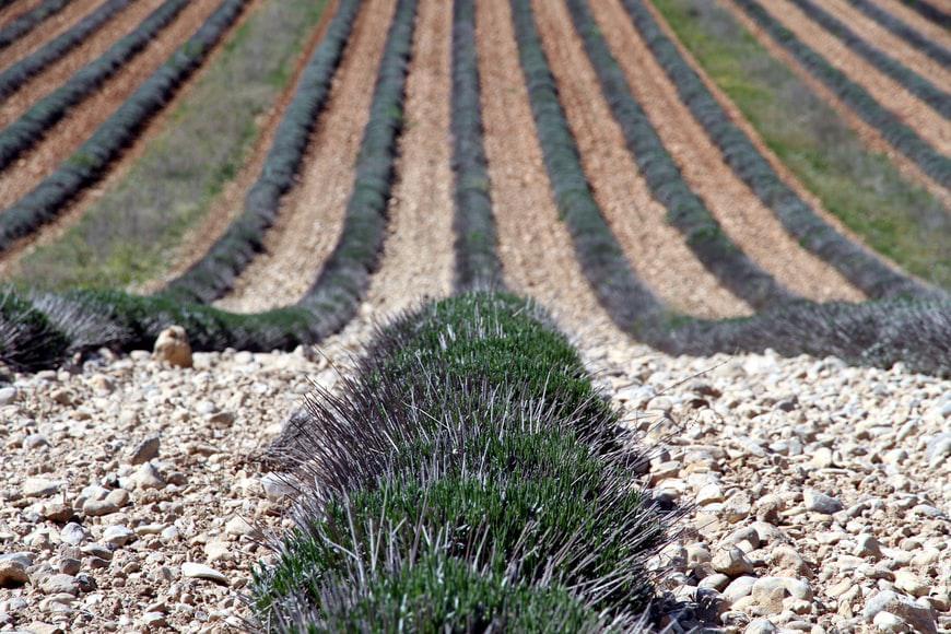 Photo La nouvelle carte magnétique « Provence Pass » d’ Aix en Provence