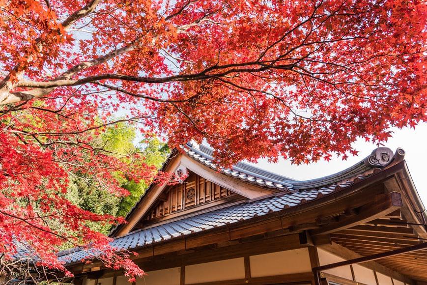 Photo Quelques bons plans voyages Kyoto : dénicher les bonnes affaires!