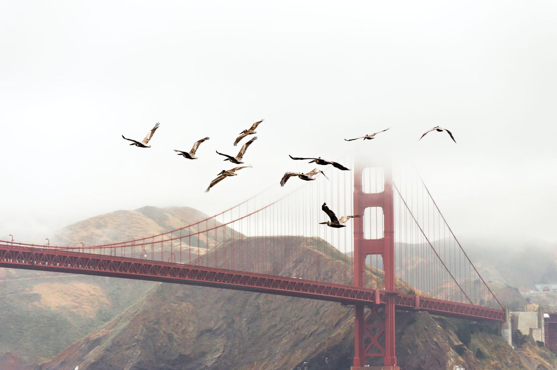 Photo Compagnies aériennes à San Francisco