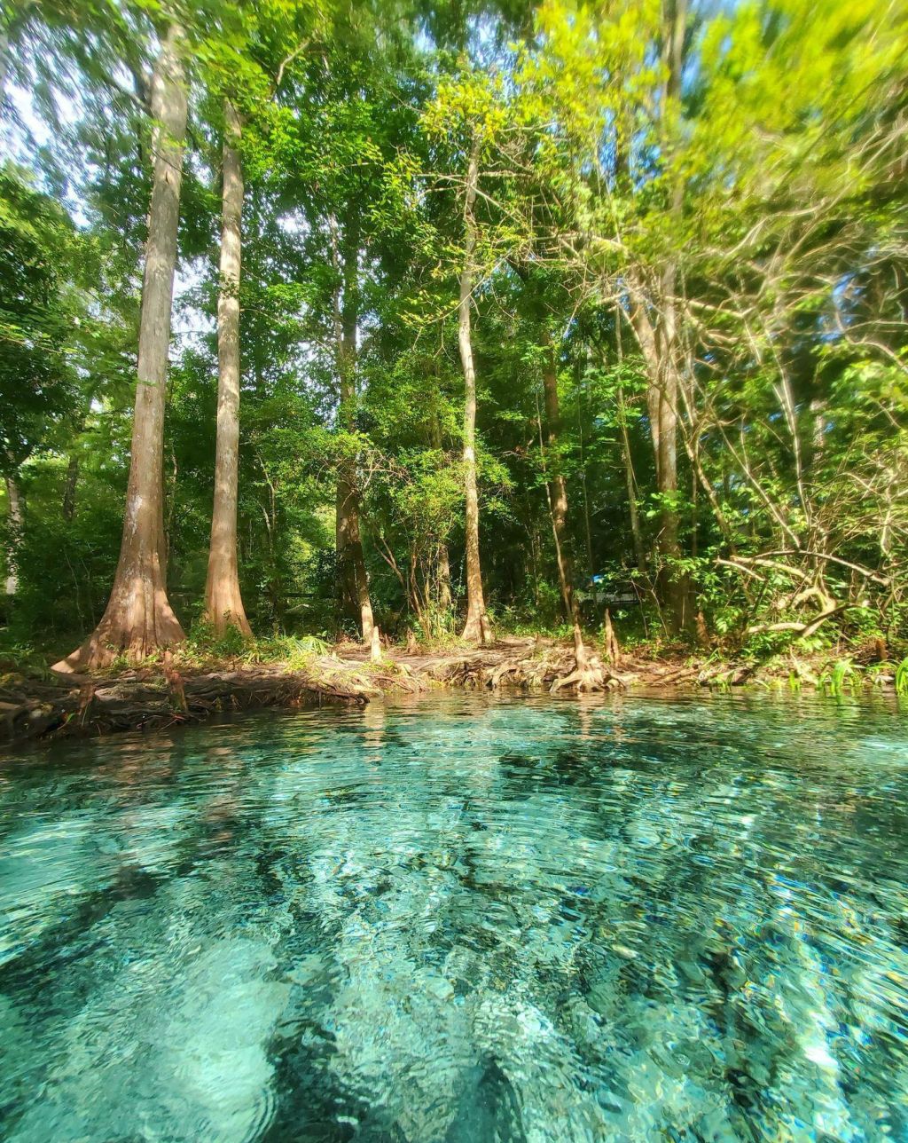 Photo Compagnies aériennes en Floride