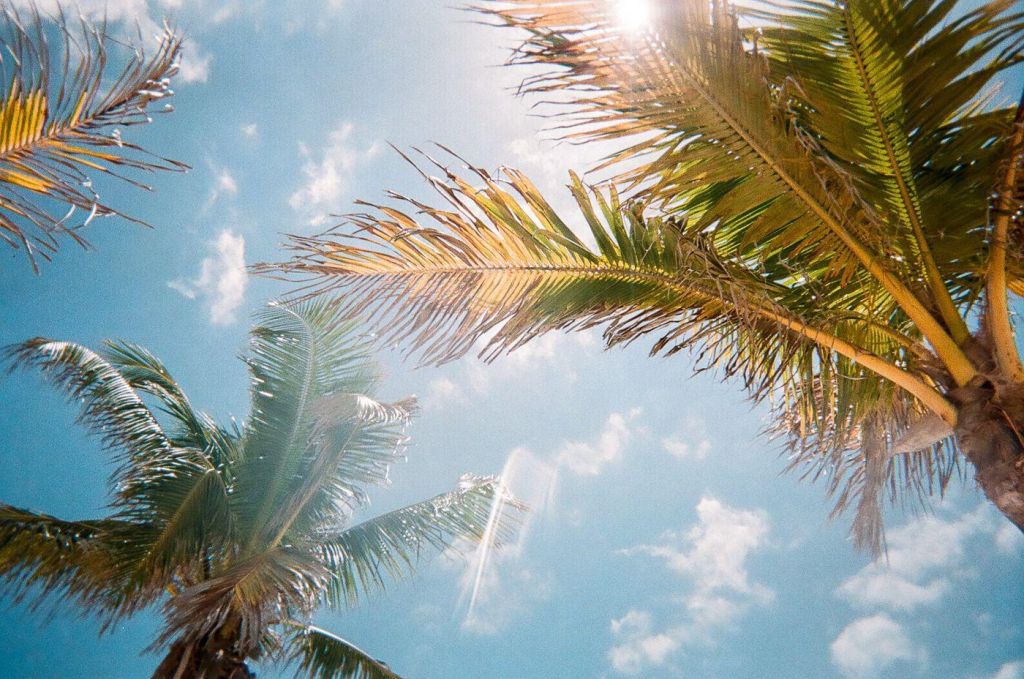 Photo Les meilleurs hotels avec spa Floride